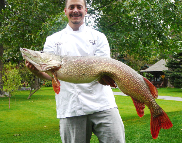 Zach's Pike