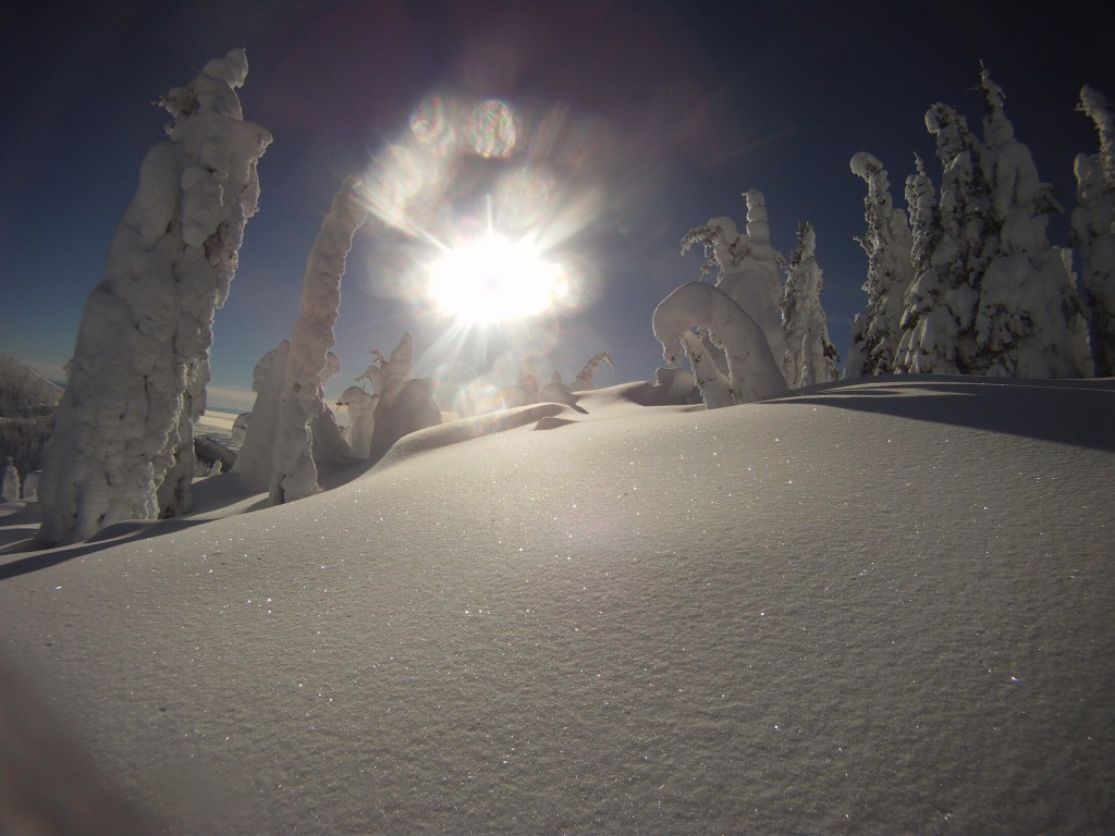 What do Dude Rancher's do in the winter? Go out and find fresh powder!