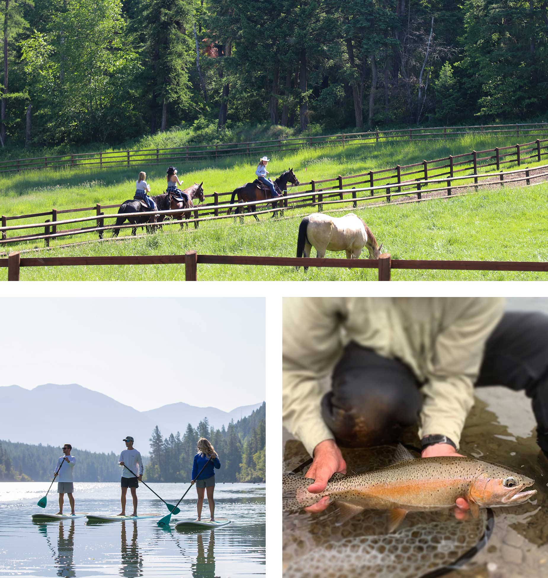 Horseback rides, paddle boarding, fishing