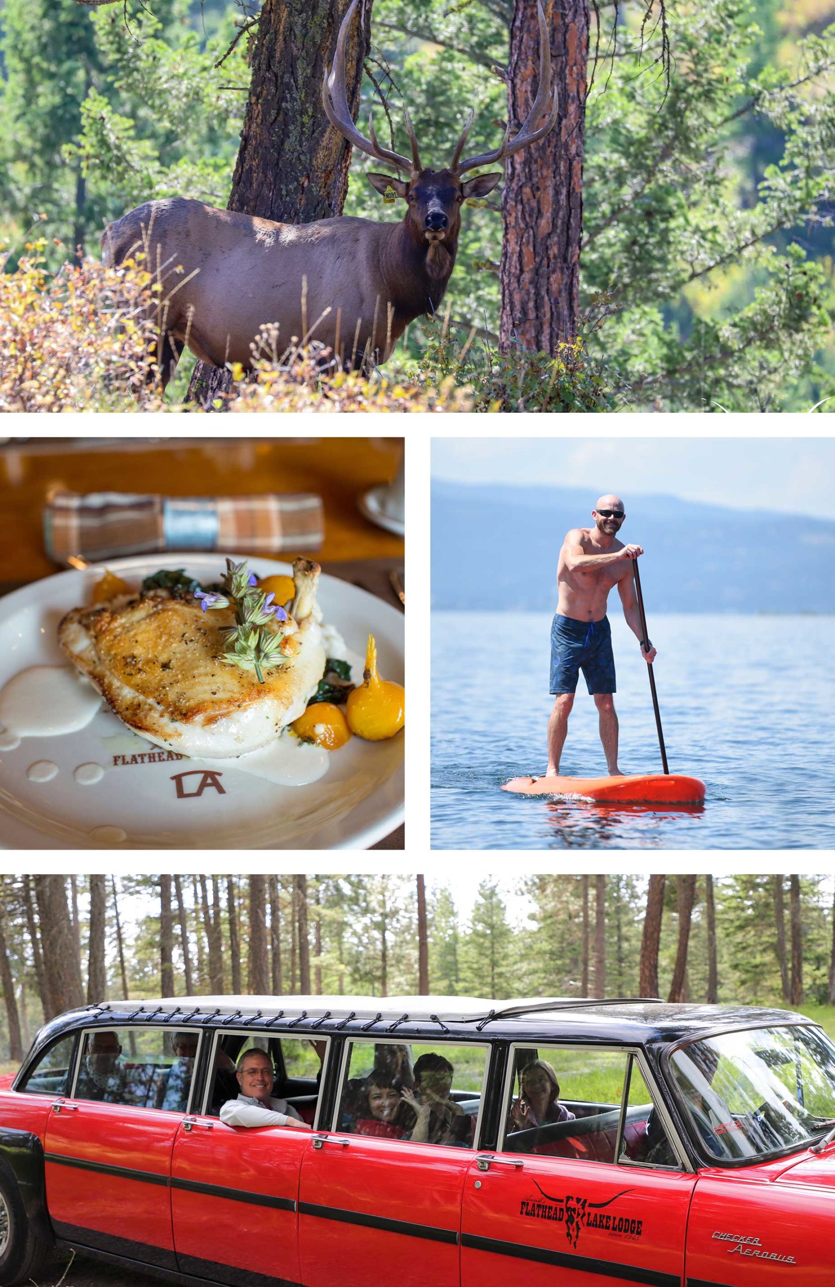 Montana - Dinner, Paddle boarding, Eld Preserve
