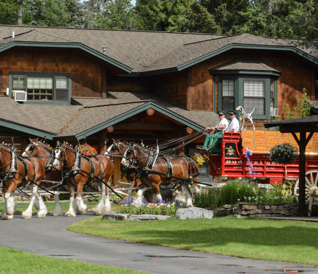 Flathead Lake Lodge - Montana - The Homestead, Room A, Image 1